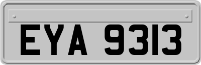 EYA9313