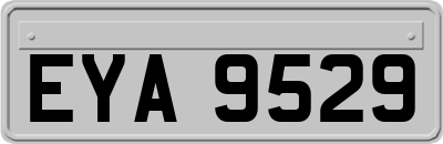 EYA9529