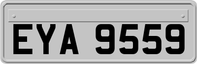 EYA9559