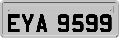 EYA9599