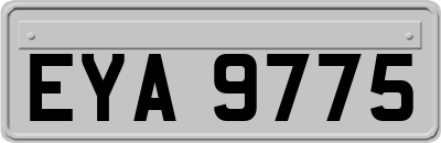 EYA9775