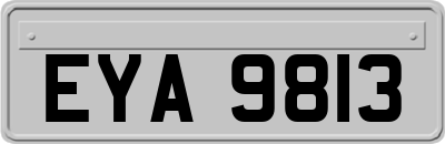 EYA9813