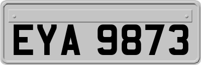 EYA9873