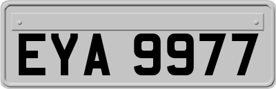 EYA9977