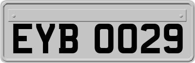 EYB0029