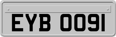 EYB0091