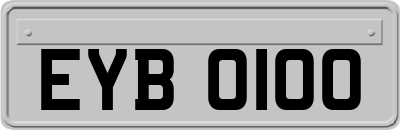 EYB0100