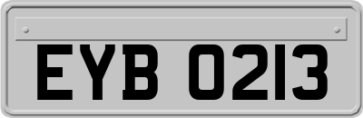 EYB0213
