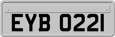 EYB0221