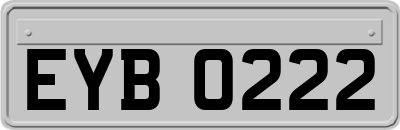 EYB0222