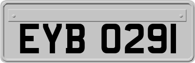 EYB0291