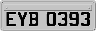 EYB0393