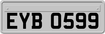 EYB0599