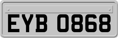 EYB0868