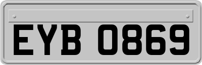 EYB0869