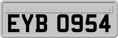 EYB0954