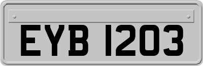 EYB1203
