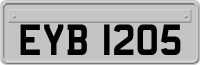 EYB1205