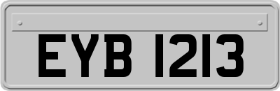 EYB1213