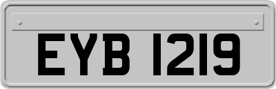 EYB1219
