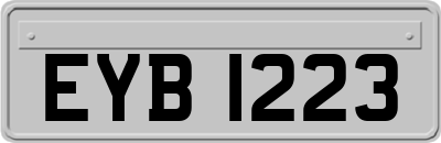 EYB1223
