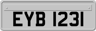 EYB1231