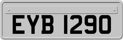 EYB1290