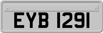EYB1291