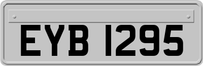 EYB1295