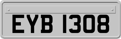 EYB1308