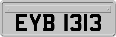 EYB1313