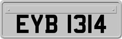 EYB1314
