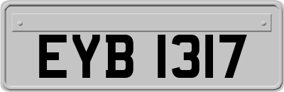 EYB1317