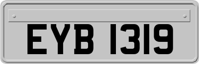 EYB1319