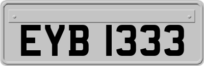 EYB1333