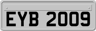 EYB2009