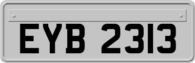 EYB2313