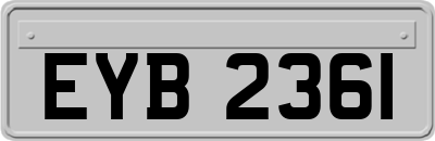 EYB2361