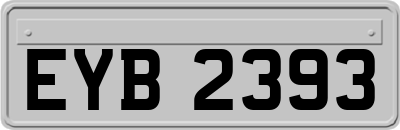EYB2393