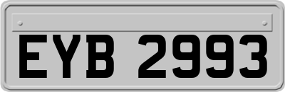 EYB2993