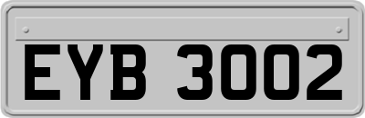 EYB3002