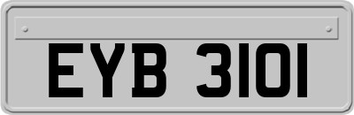 EYB3101