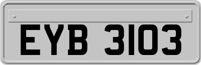 EYB3103