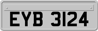 EYB3124