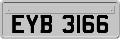EYB3166