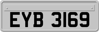 EYB3169