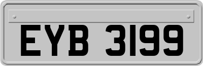 EYB3199