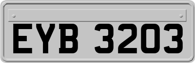 EYB3203