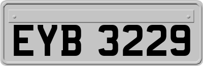 EYB3229
