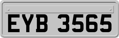 EYB3565